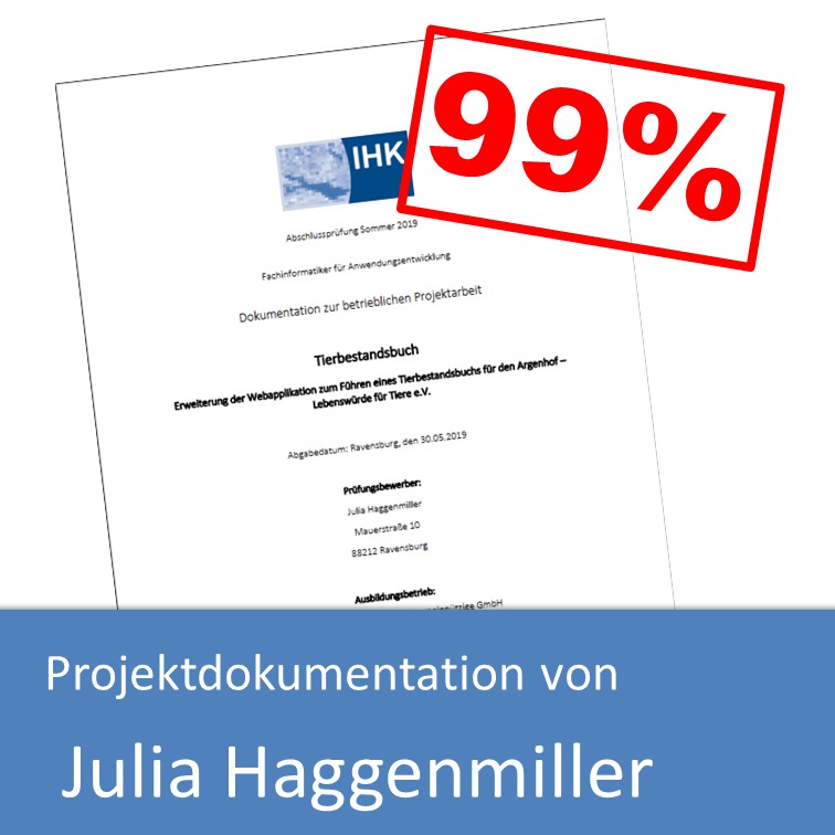 Projektdokumentation von Julia Haggenmiller (mit 99% bewertet)
