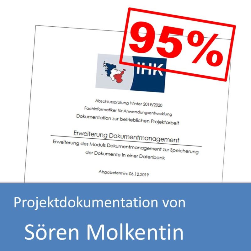 Projektdokumentation von Sören Molkentin (mit 95% bewertet)