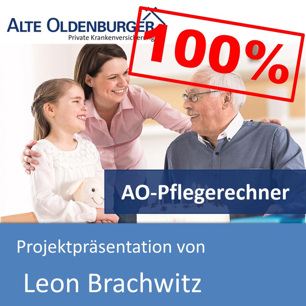 Projektpräsentation von Leon Brachwitz (mit 100% bewertet)